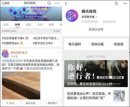 热点爆料发视频领奖金,参与互动赢取丰厚奖励! 第3张 热点爆料发视频领奖金,参与互动赢取丰厚奖励! 第3张