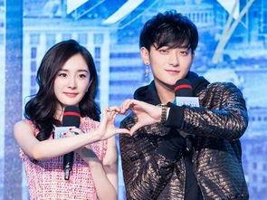 杨幂爆料家族视频大全最新,独家爆料，温馨瞬间全收录  第2张