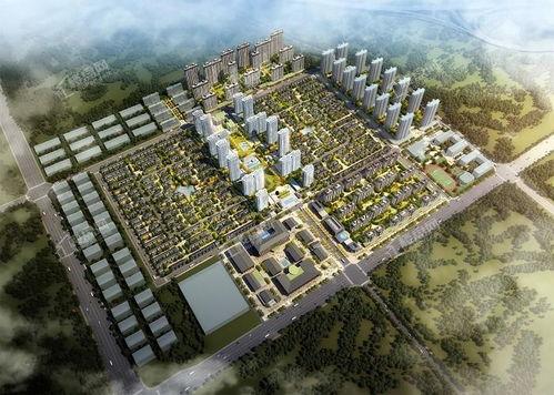 三迪金域最近视频爆料