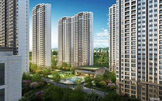 三迪金域最近视频爆料  第2张