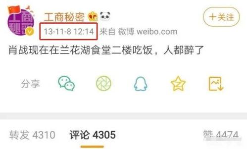肖战素人爆料视频大全集,揭秘明星成长之路