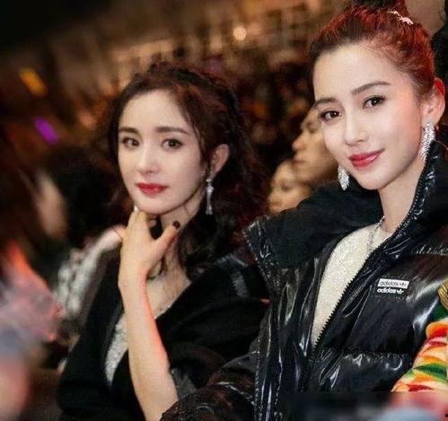 圈内扒叔爆料刘亦菲是哪一期,圈内扒叔独家爆料幕后真相  第2张