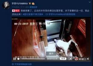 谁爆料家暴视频大全集最新,最新爆料视频大全集深度解析  第3张