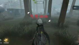 盗墓者歌拉在线观看,探秘古墓，揭秘神秘宝藏的惊险之旅