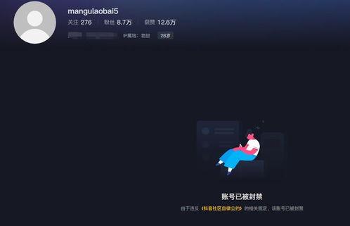 老白爆料酒吧视频播放,一场视觉与味觉的双重盛宴