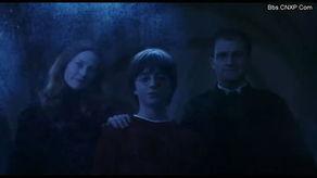 哈利爆料母亲视频大全,母亲视频背后的感人故事大盘点  第2张