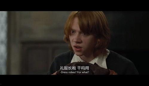 哈利爆料母亲视频大全,母亲视频背后的感人故事大盘点  第3张