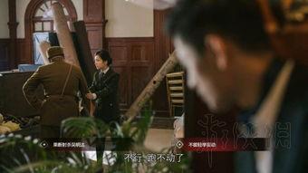 爆料大案结局解析视频,视频解析背后的真相与转折  第2张