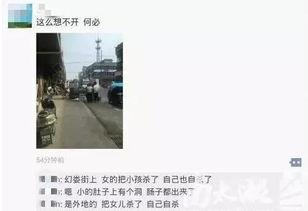 湖州女士爆料事件最新,事件真相与网络舆论漩涡