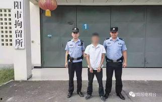 简阳最新消息爆料案件,最新案件细节揭露，警方全力追查  第3张