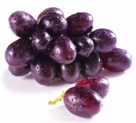 提子事件谁爆料的啊最新,揭秘爆料者身份与动机  第2张