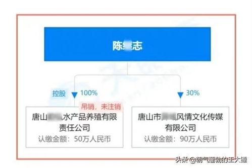 爆料唐山视频下载,真相与反思